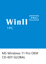 MS Windows 11 Pro OEM CD-KEY GLOBAL-Lifetime