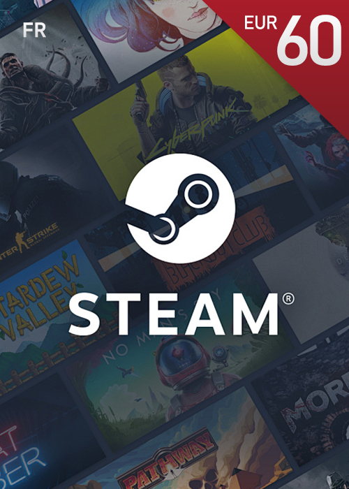 Steam Gift 60 EUR CD KEY FR